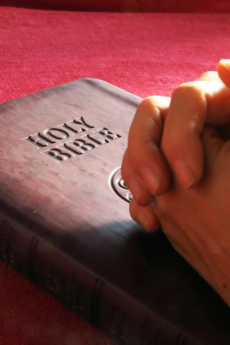 Today's Bible reading