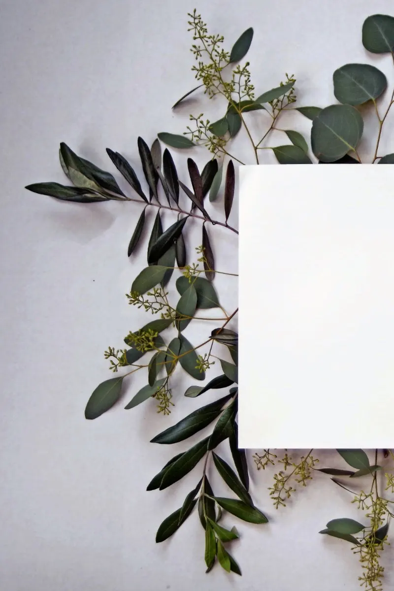 Invite a friend to Sol