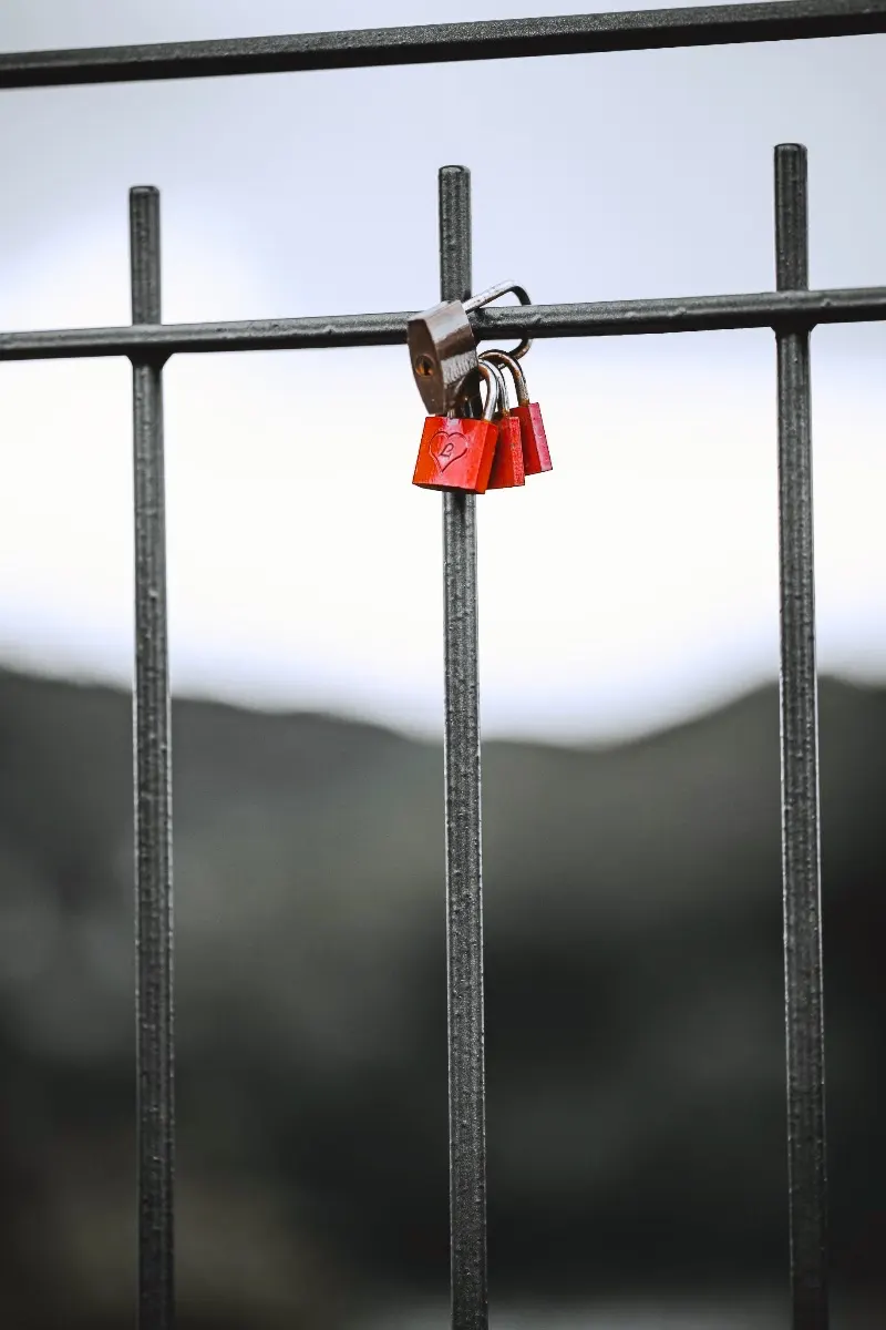 Make a Manasa-vrata vow