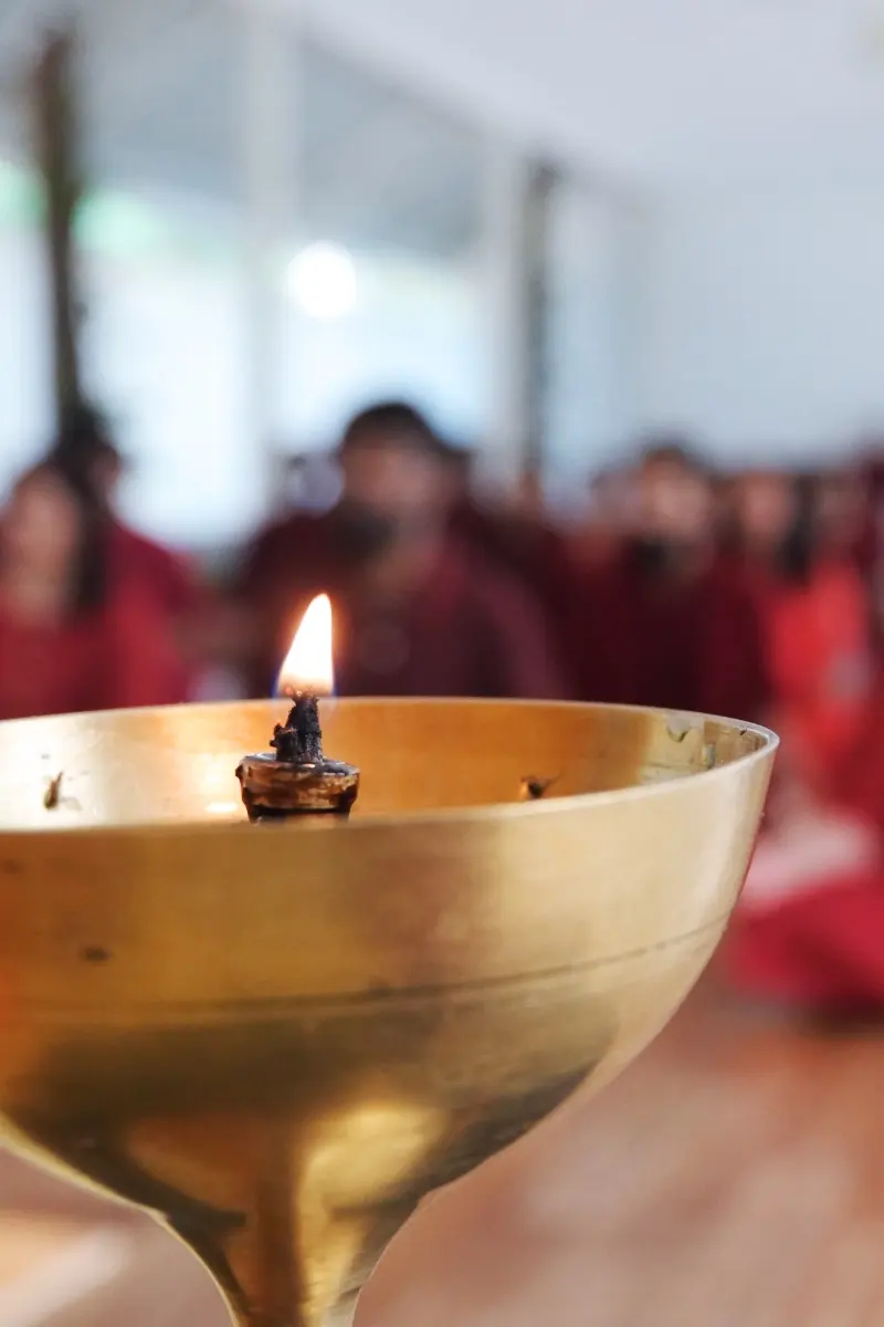 Participate in a "Satsang"