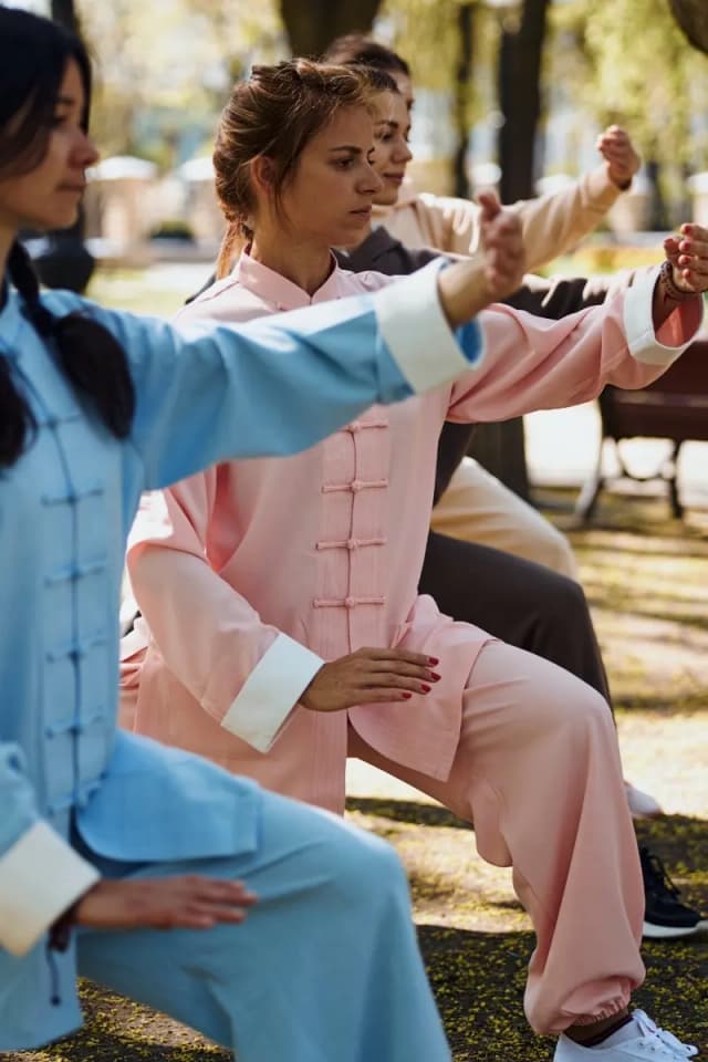 The Tai Chi "Part Horse's Mane"