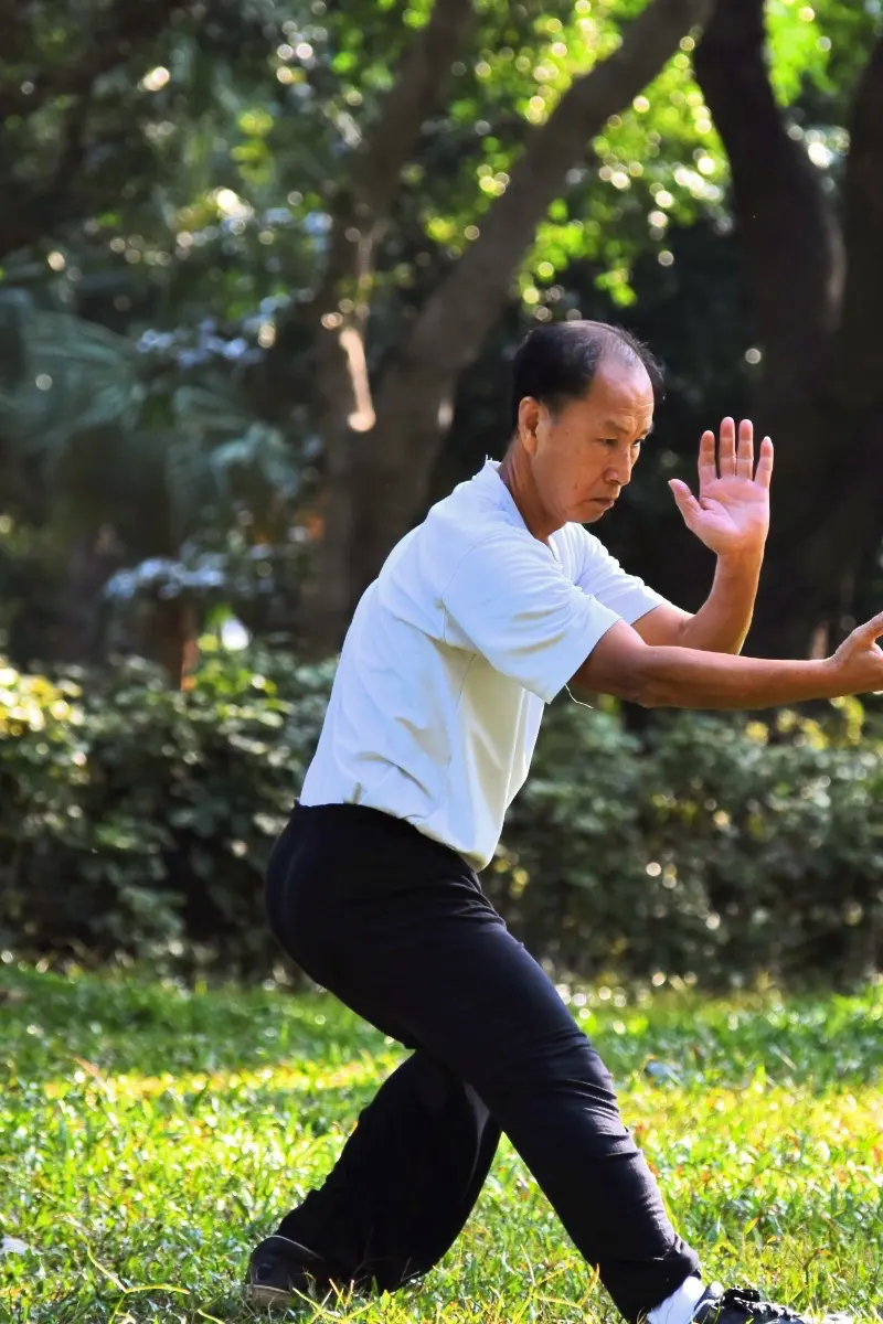 The Tai Chi "Pat Horse" move