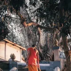 Buddhist compassion