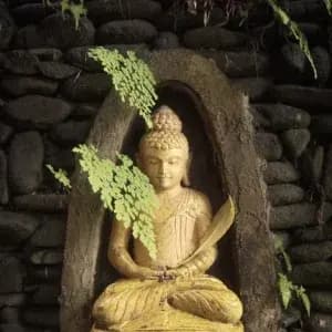 Buddhist philosophy