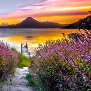 Buddhism and Nature