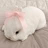 miffy u.