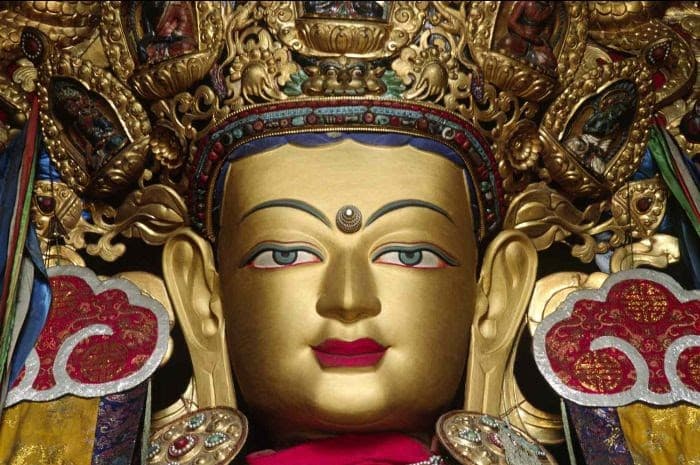 The Dalai Lama's Buddha Science