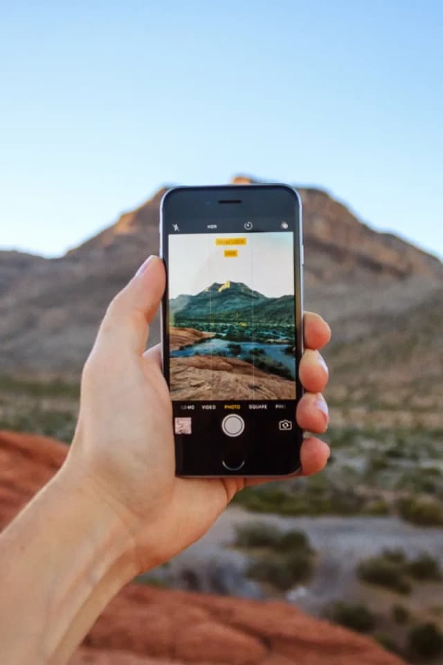 Take a photograph of nature