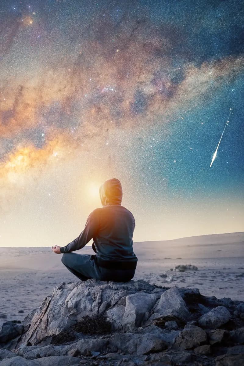 Check your "Vedic astrology"